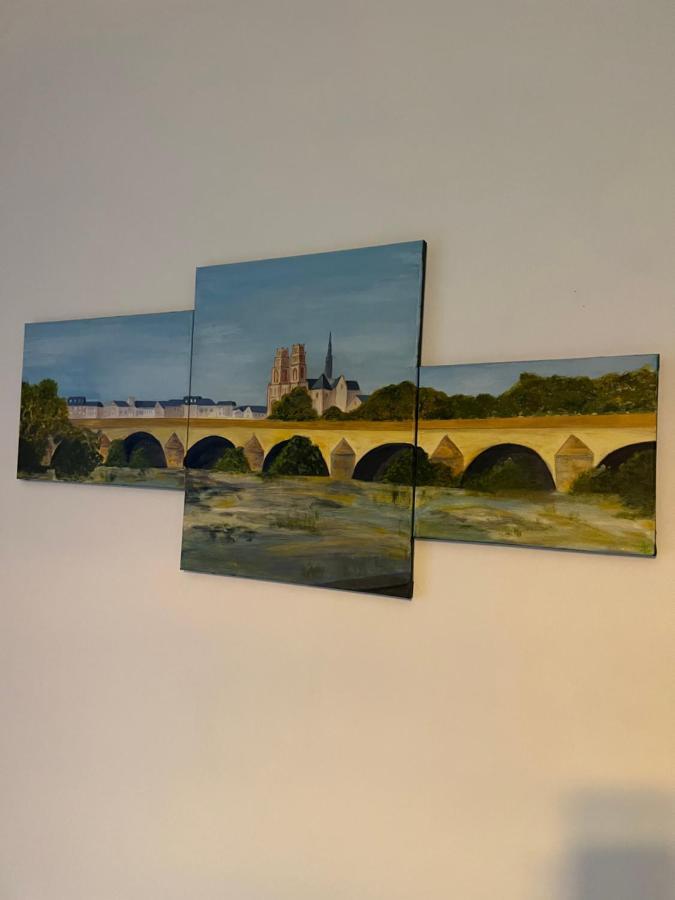 Cosy Loire, T2 Neuf, Front De Loire ,Vue Cathedrale,5Min A Pied Centre Ville Et Parking Prive Orléans Eksteriør bilde